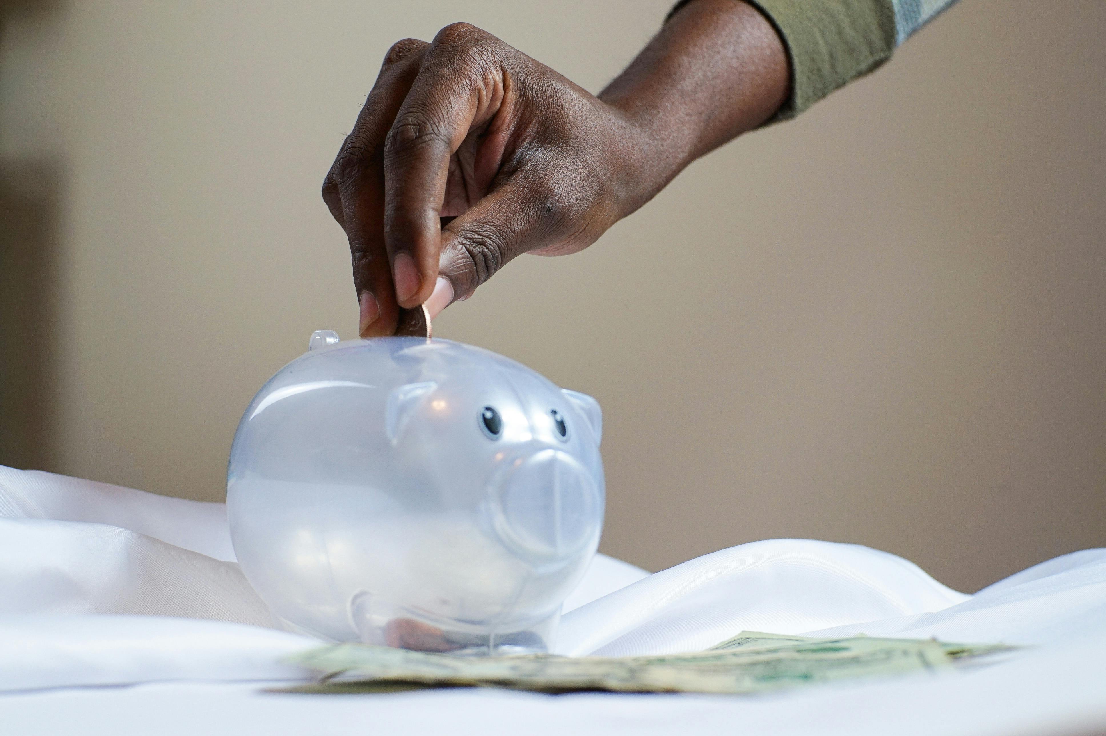 Visual representation of a personal budget in Kenya